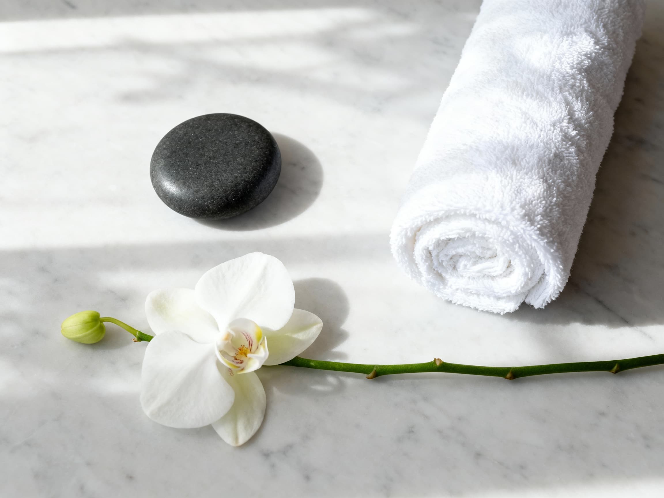 Thriving Spa with Loyal Clientele