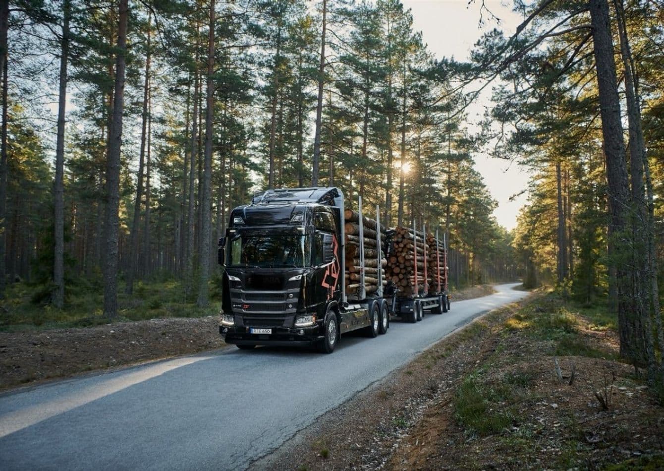 Leading Forestry and Fleet Services with Diverse Offerings