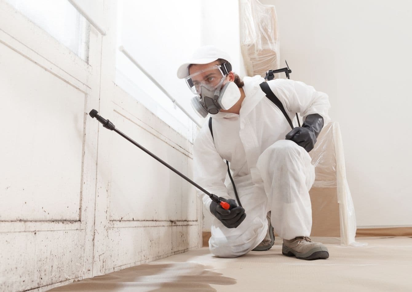 Profitable Pest Control Business with Loyal Client Base