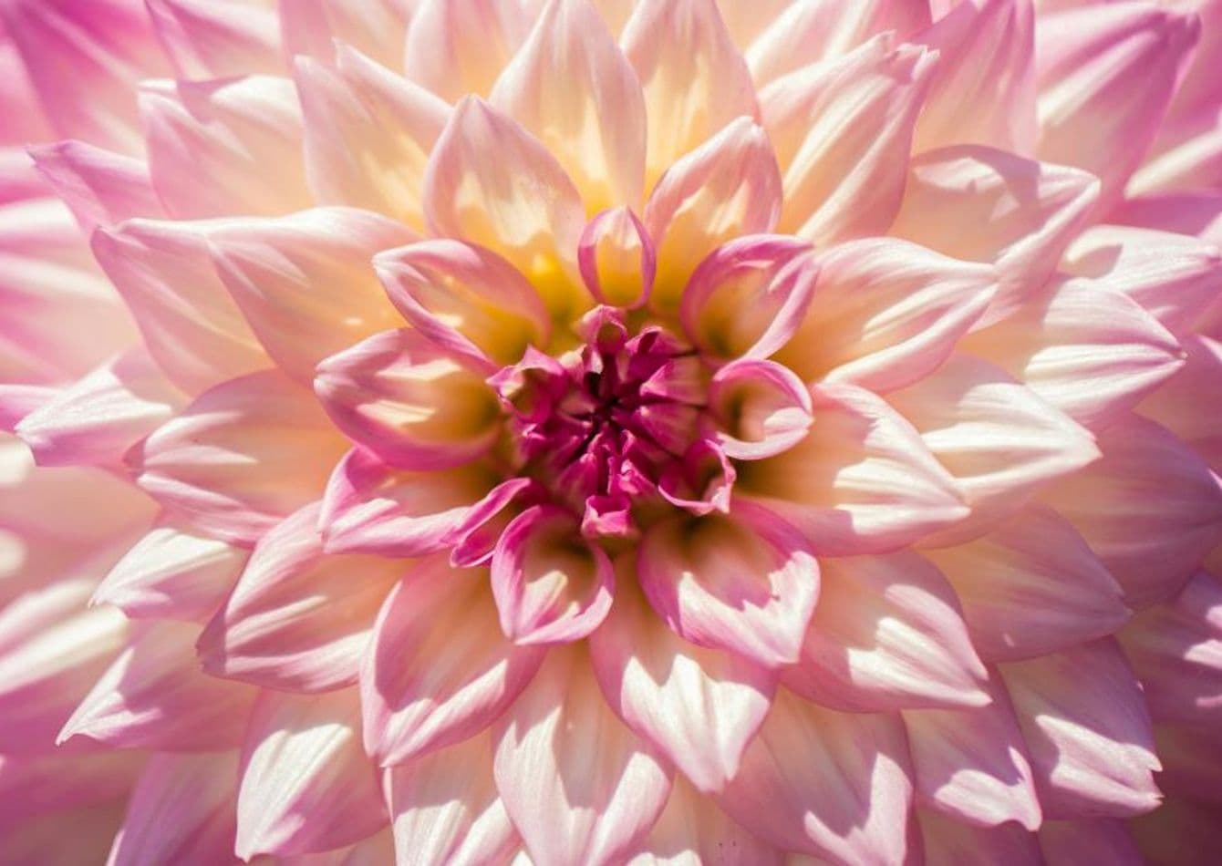 Established Florist with Strong Community Ties