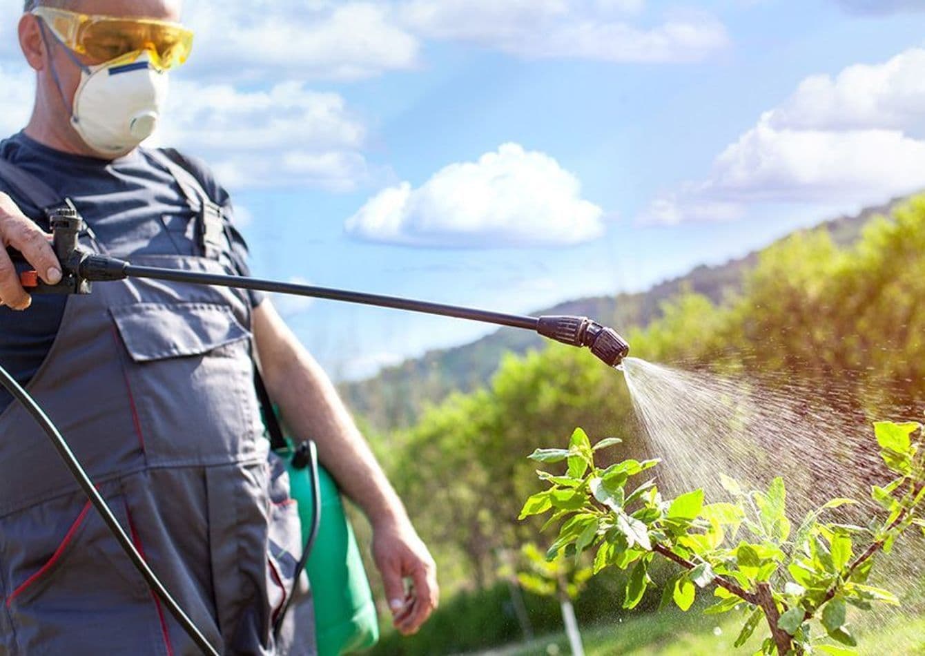 Premier Landscaping Service with Strong Recurring Revenue