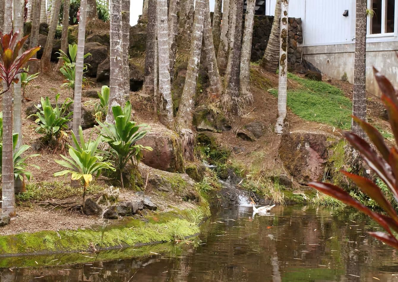 Turnkey Vacation Rental with Legal Short Term Zoning