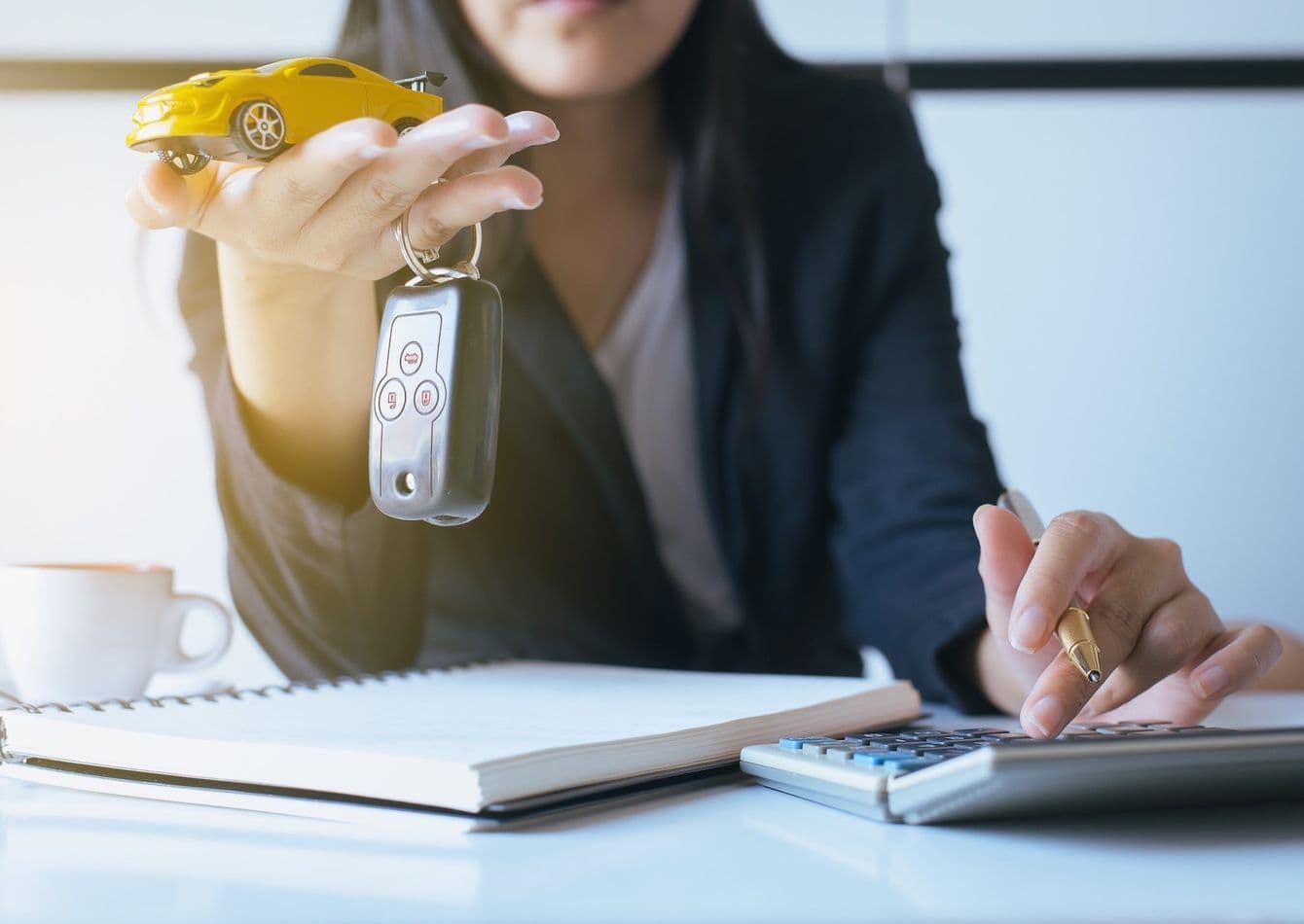 Profitable Golf Cart Dealership with Diverse Revenue Streams