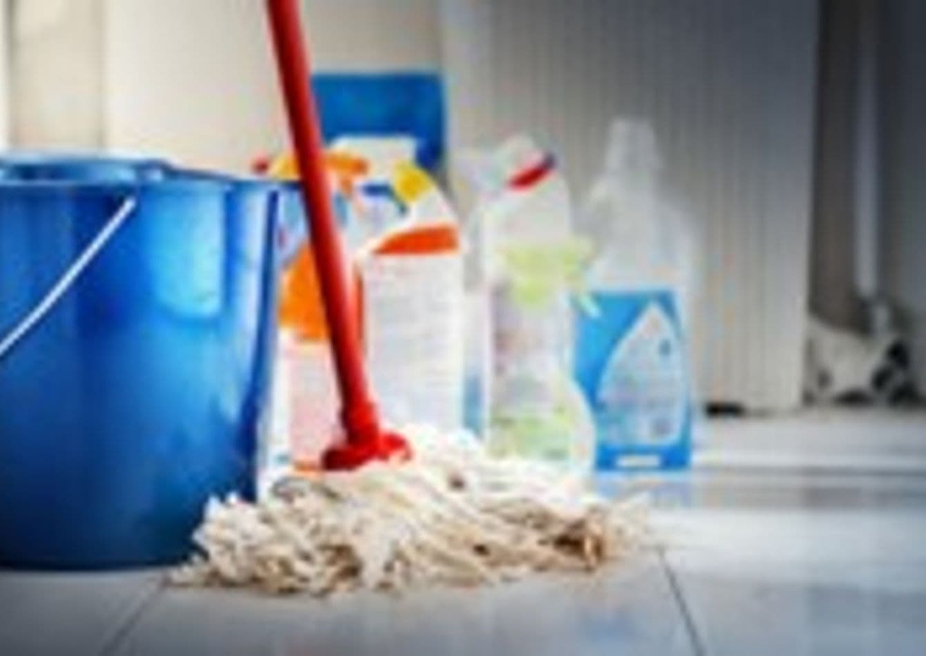 Established Cleaning Service with Property Management Focus