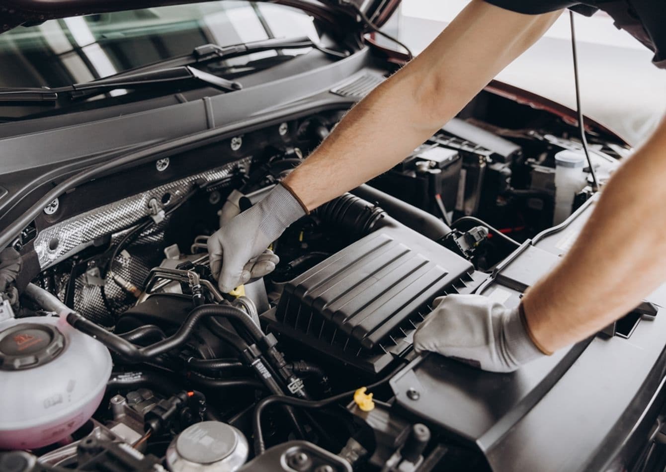 Established European Auto Repair with Expansion Potential