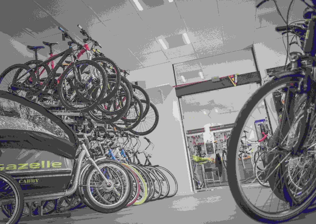 Thriving Bicycle Retailer with Strong Growth Potential