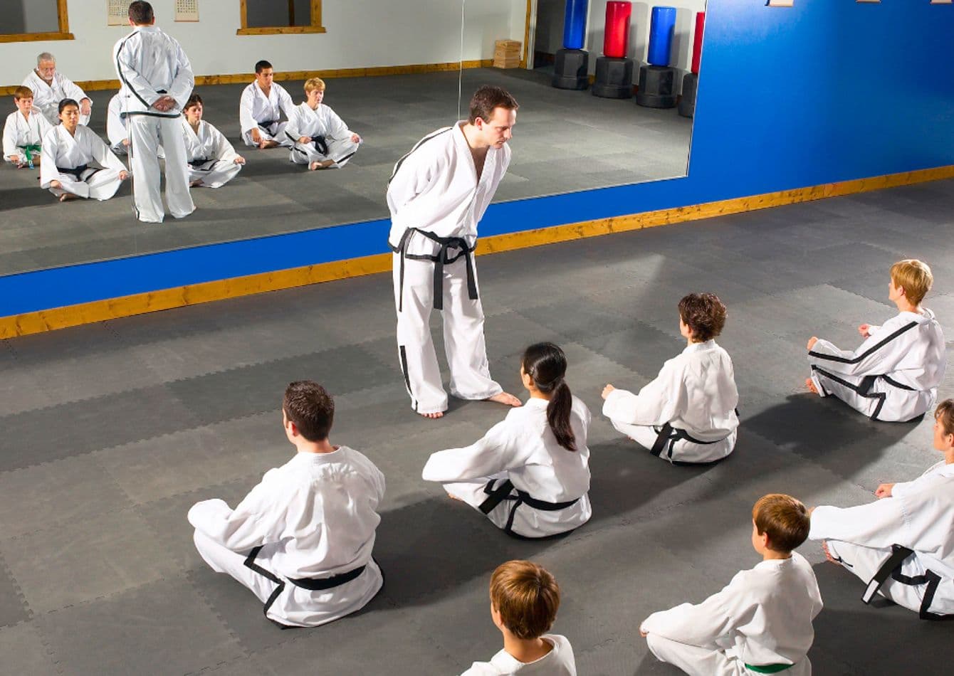Established Martial Arts School with Two Locations