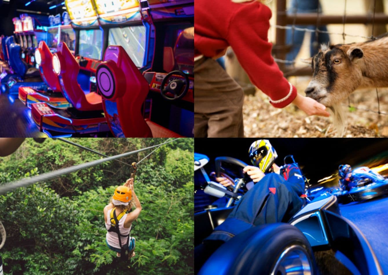 Established Outdoor Entertainment Venue with Expansion Potential