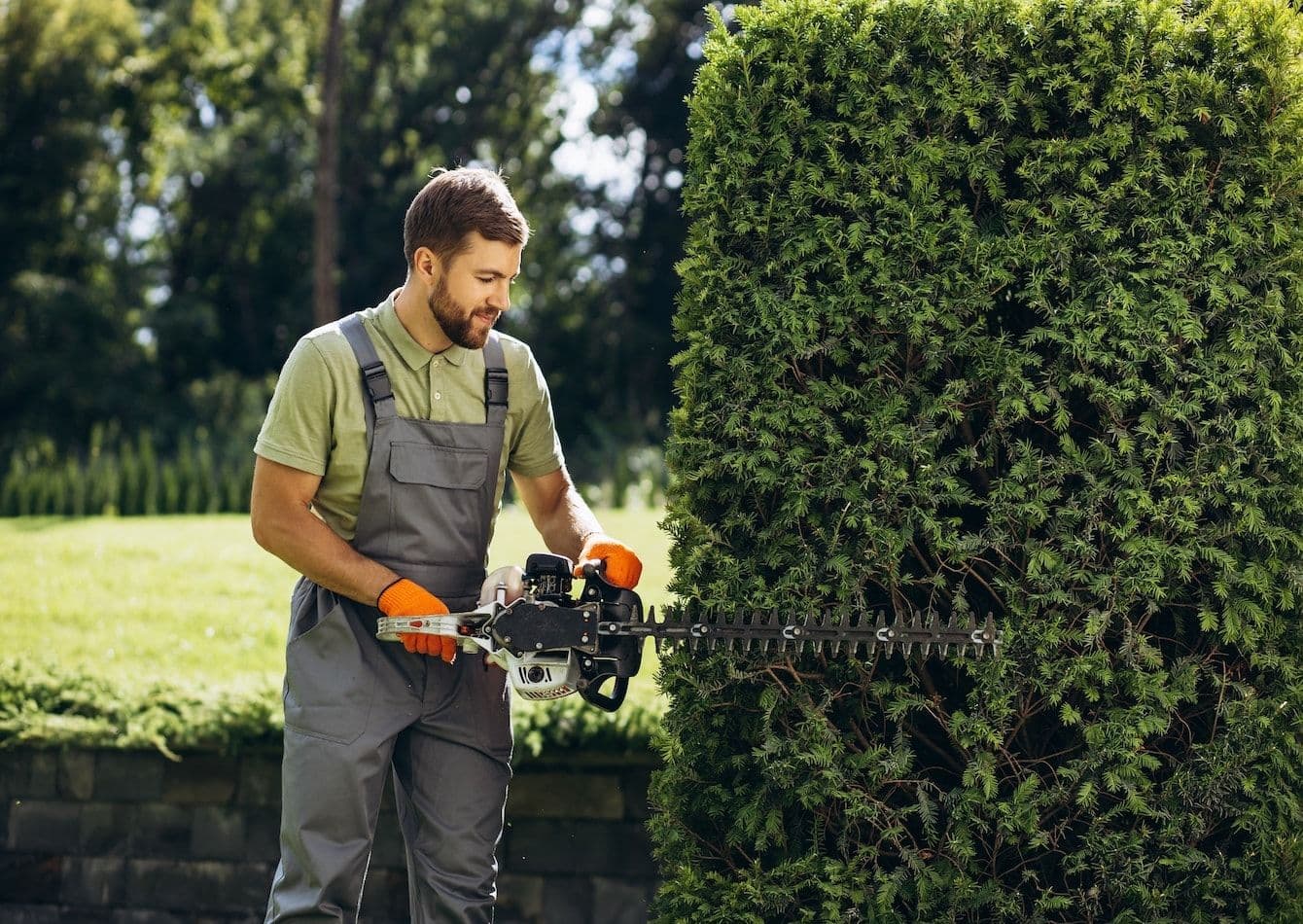 Thriving Landscaping Service with Turnkey Operations