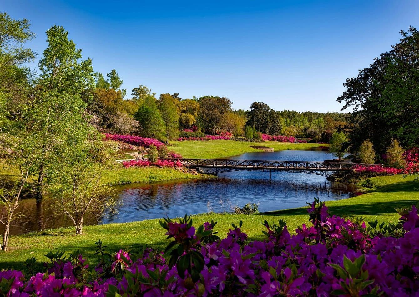 Profitable Luxury Outdoor Living Designer with SBA Pre Qualification