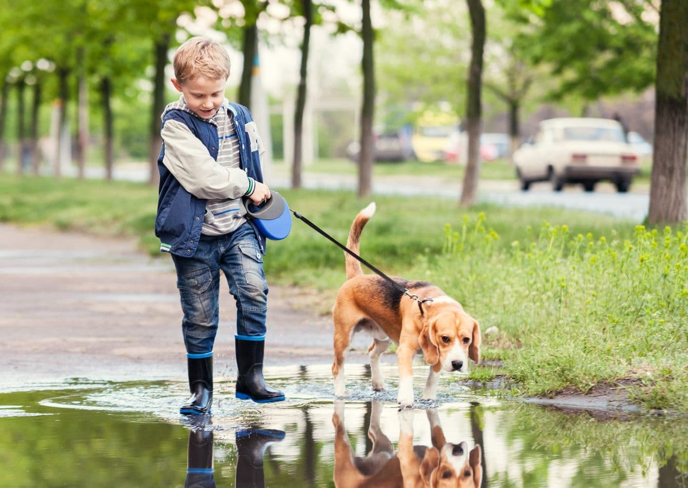 Profitable Pet Care Business with Minimal Owner Involvement