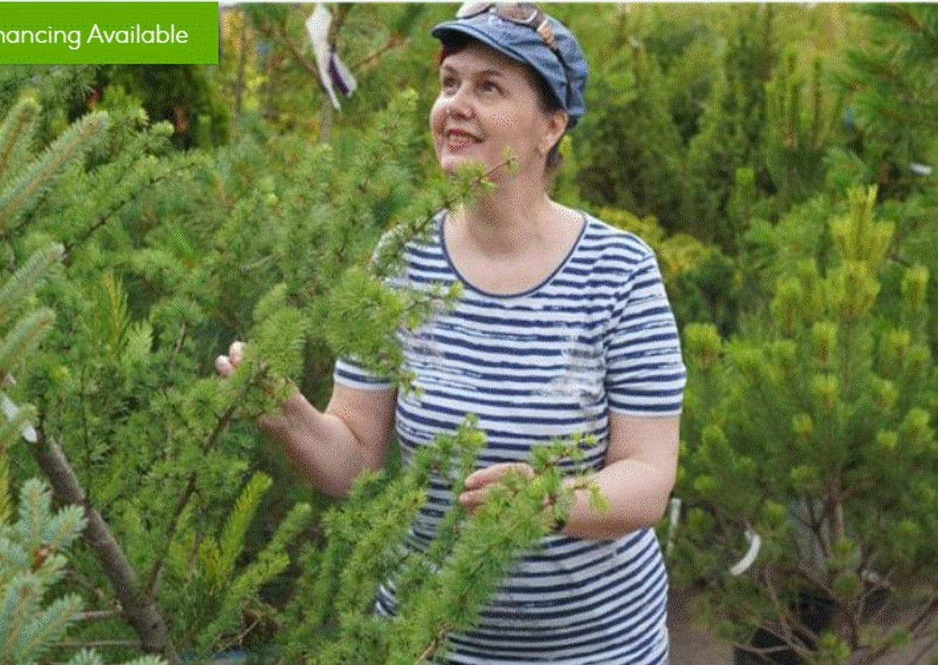 Established Landscaping Nursery with Extensive Inventory