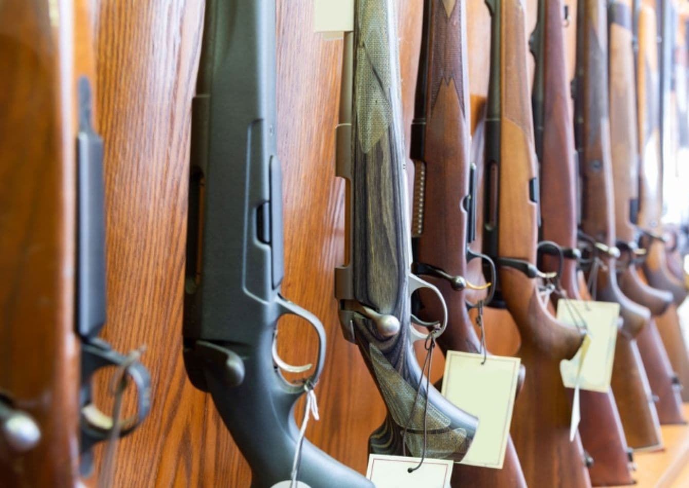 Premier Firearm Retailer and Range with Diverse Revenue Streams
