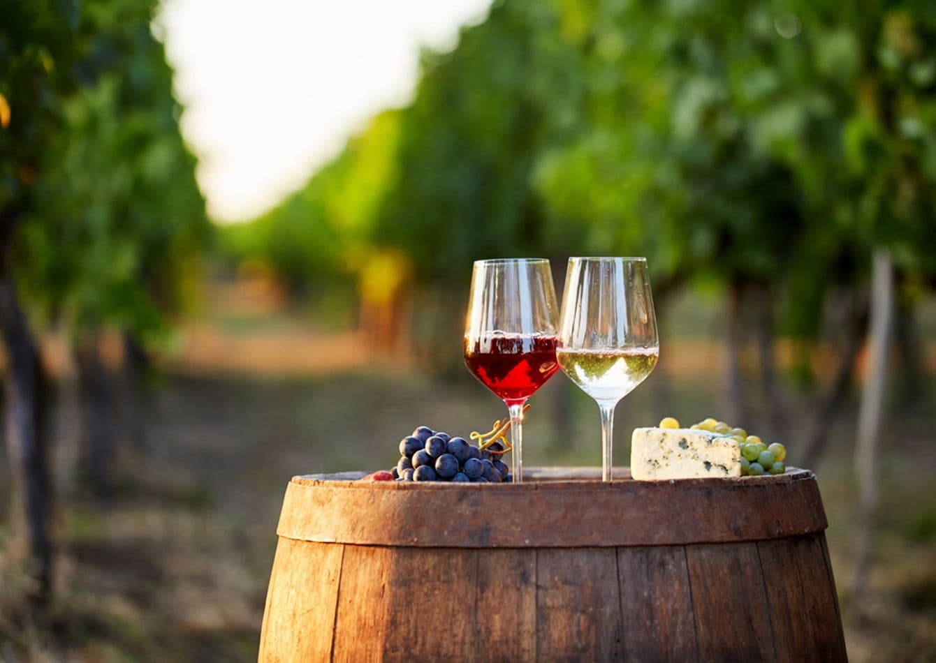 Premier Farm Winery with Multiple Revenue Streams