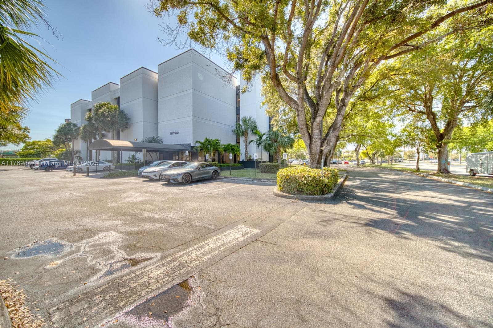 Established Chiropractic Clinic with Loyal Clientele