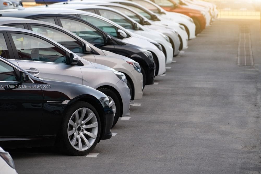 Profitable Pre Owned Car Dealership with Auction Accounts