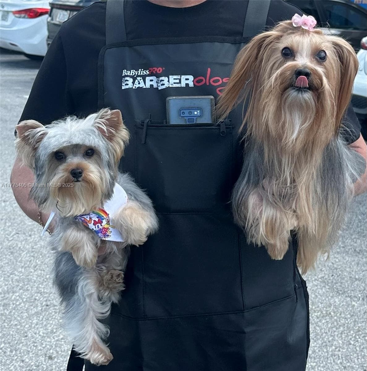 Established Pet Grooming Business with Loyal Clientele