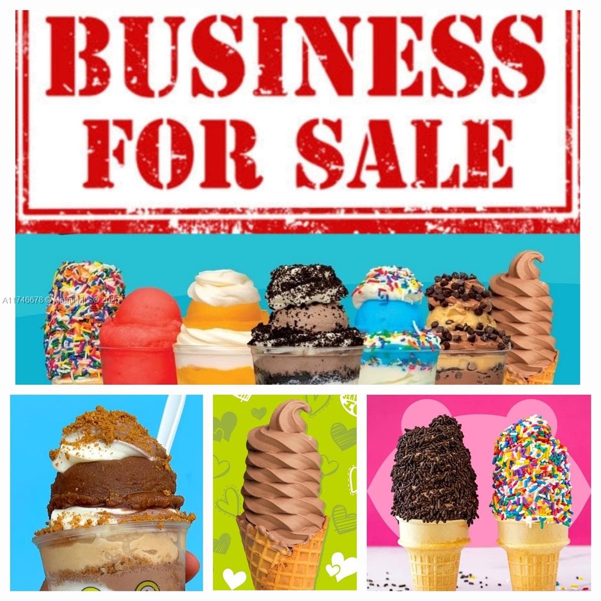 Growing Ice Cream Franchise with Multi Unit Development Rights