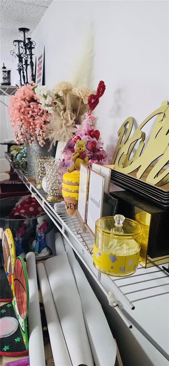 Established Party Event Rental Service with Comprehensive Inventory