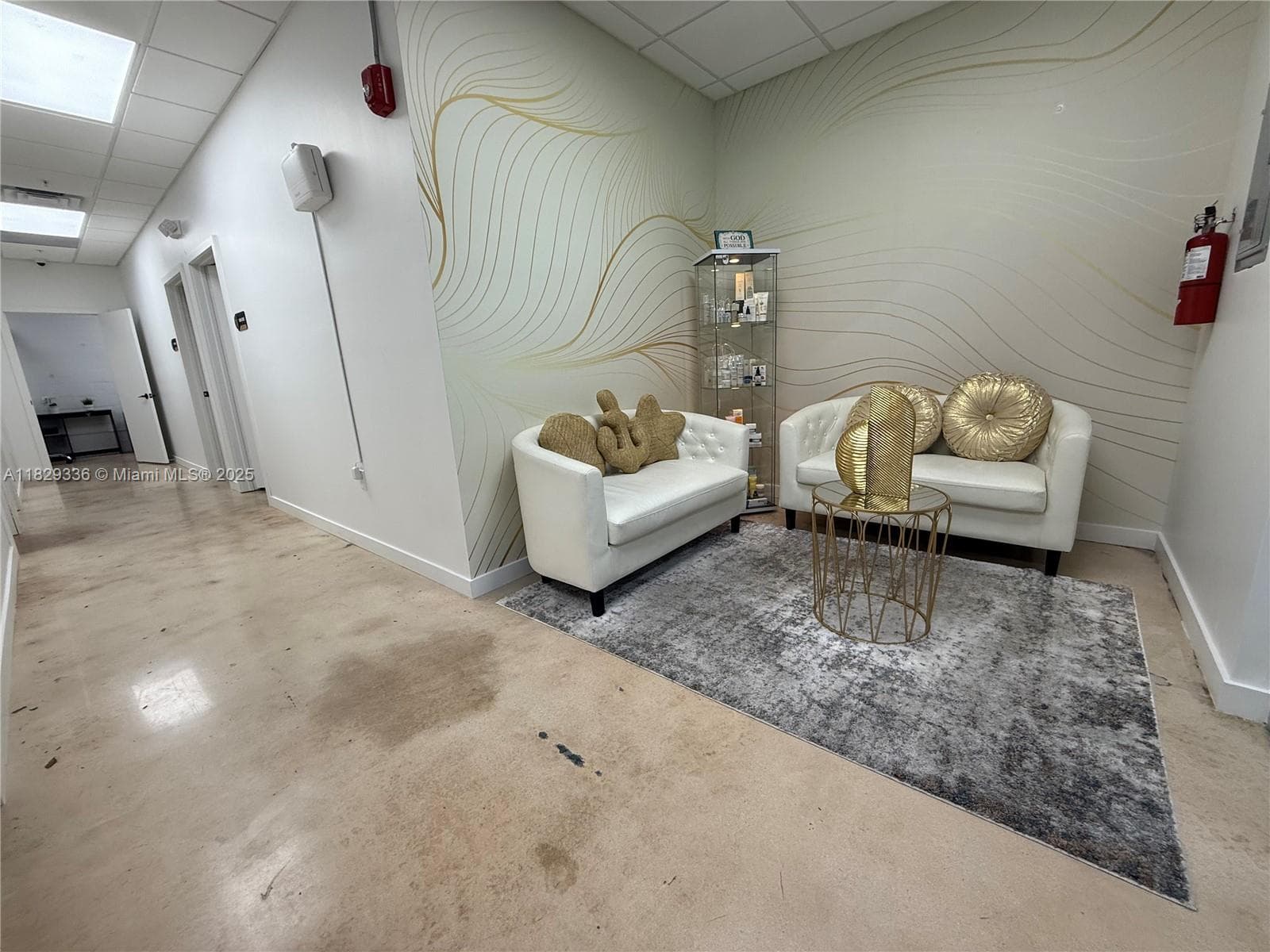 Boutique Medical Spa with Affordable Lease