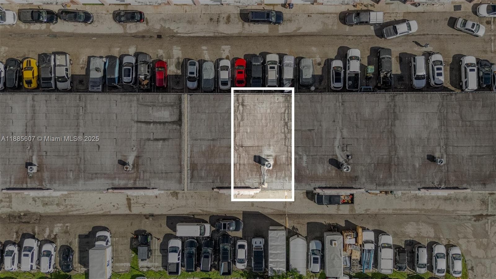 Niche Auto Detailing Customization Studio with Strong Online Presence