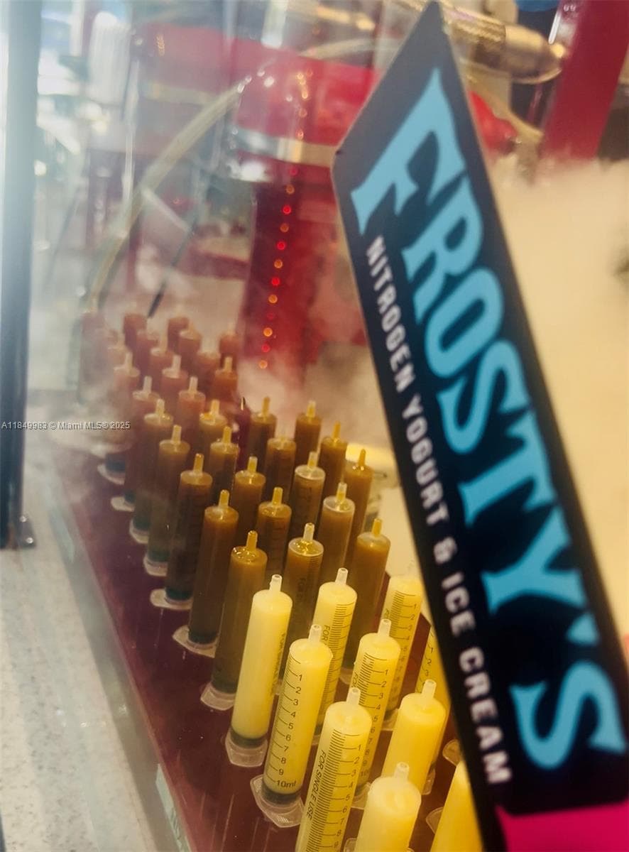 Profitable Ice Cream and Frozen Yogurt Shop