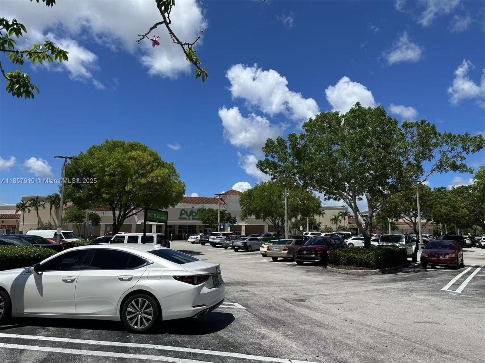 Thriving Nail Salon with Loyal Clientele