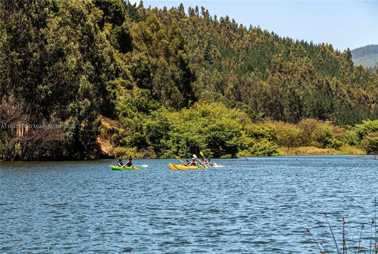 Premier Oceanfront Boutique Hotel with Turnkey Operations