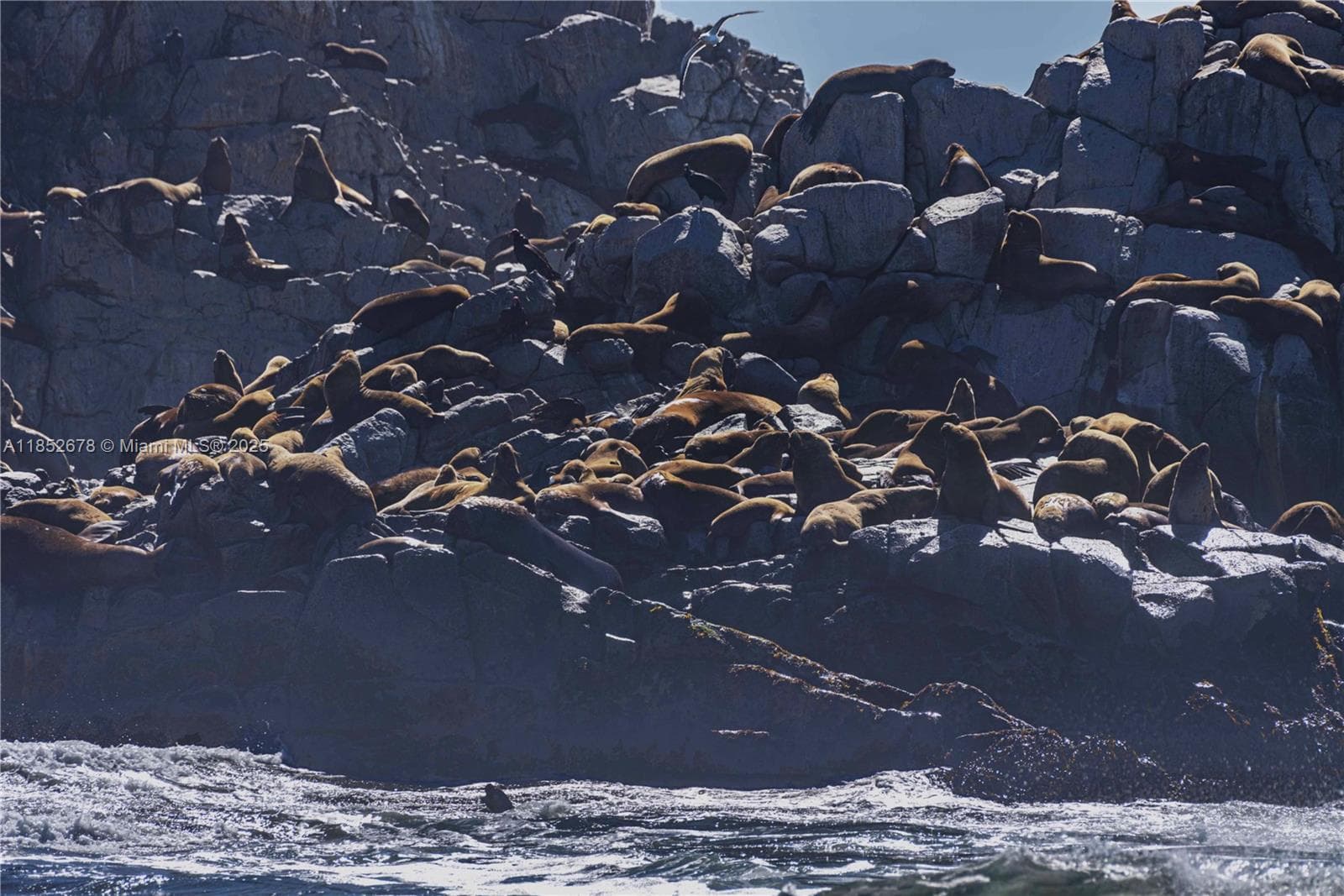 Premier Oceanfront Boutique Hotel with Turnkey Operations