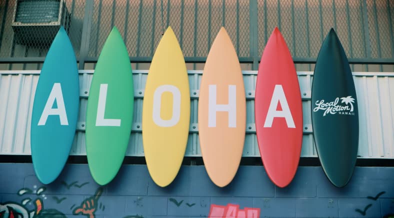 Premier Hawaiian Art Gallery with High Traffic Locations