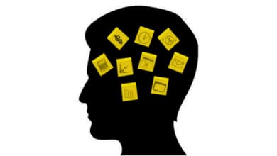 Established Professional Organizing Business with Loyal Clientele