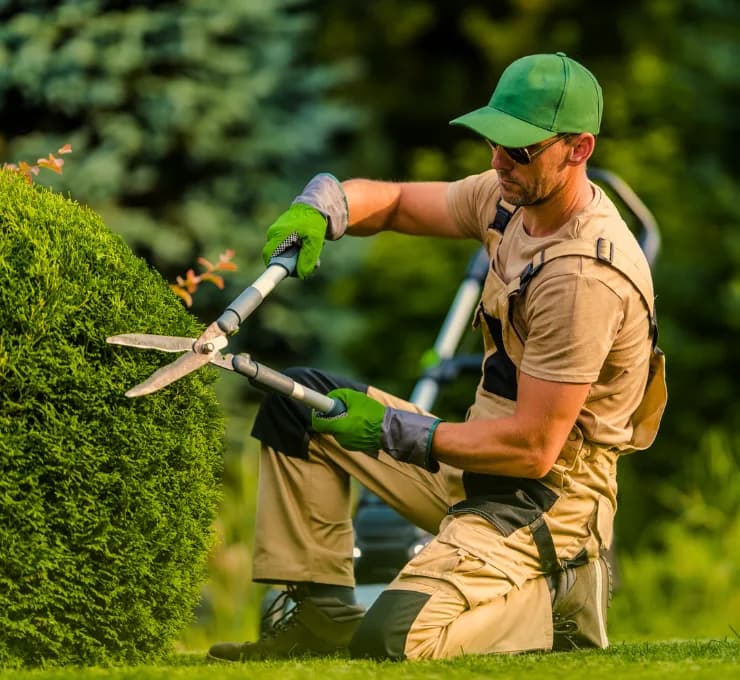 Profitable Landscaping Business with Recurring Contracts