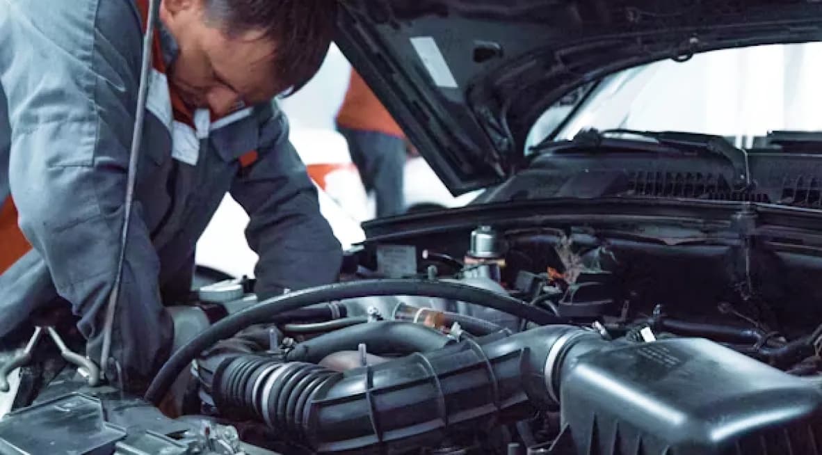 Established Auto Repair Shop with Loyal Clientele