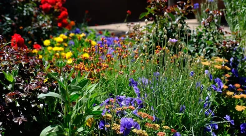 Established Garden Center with Two Thriving Locations