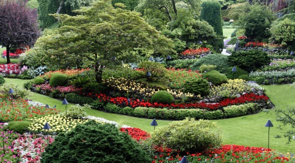 Premier Landscaping Business with High End Clientele