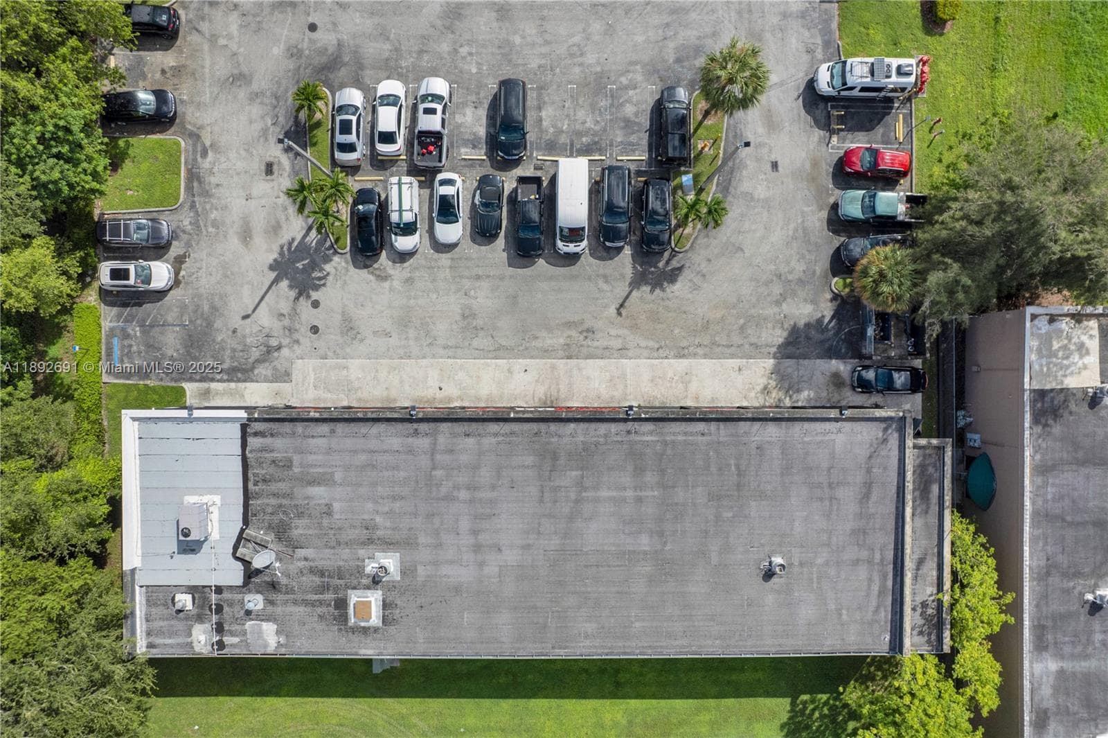 Profitable Automotive Shop with Strong Customer Base