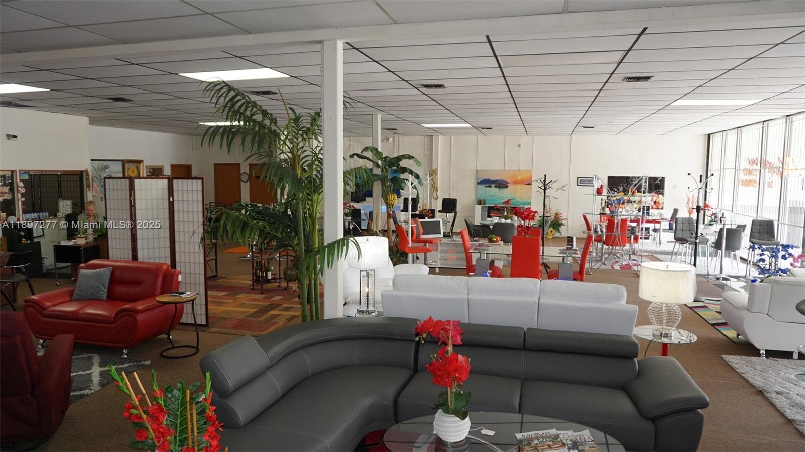 Established Furniture Store with Immediate Cash Flow