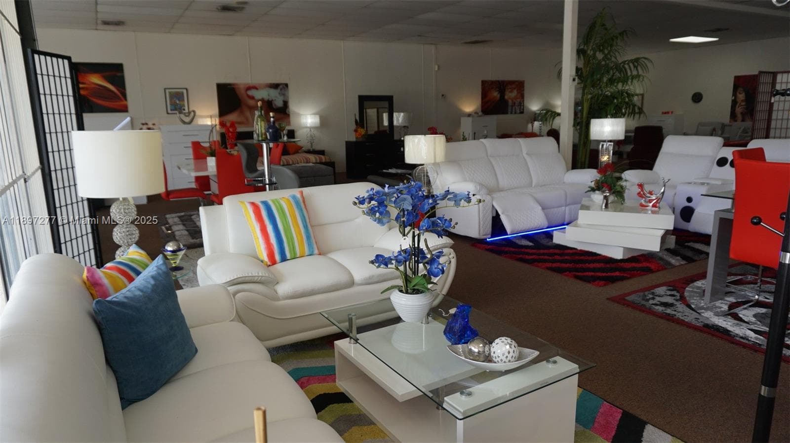 Established Furniture Store with Immediate Cash Flow