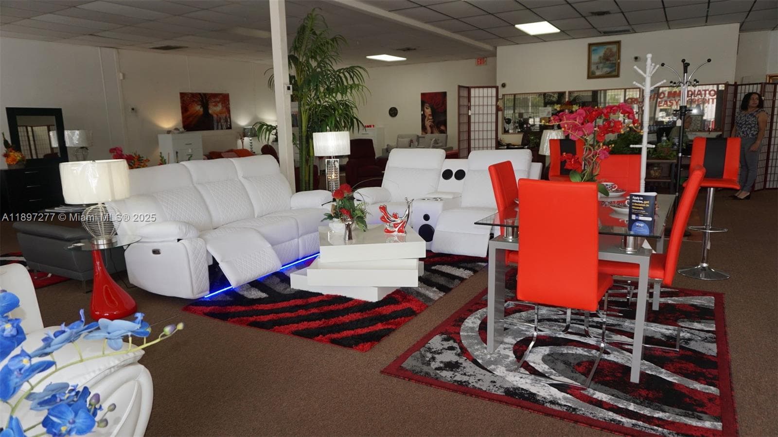 Established Furniture Store with Immediate Cash Flow