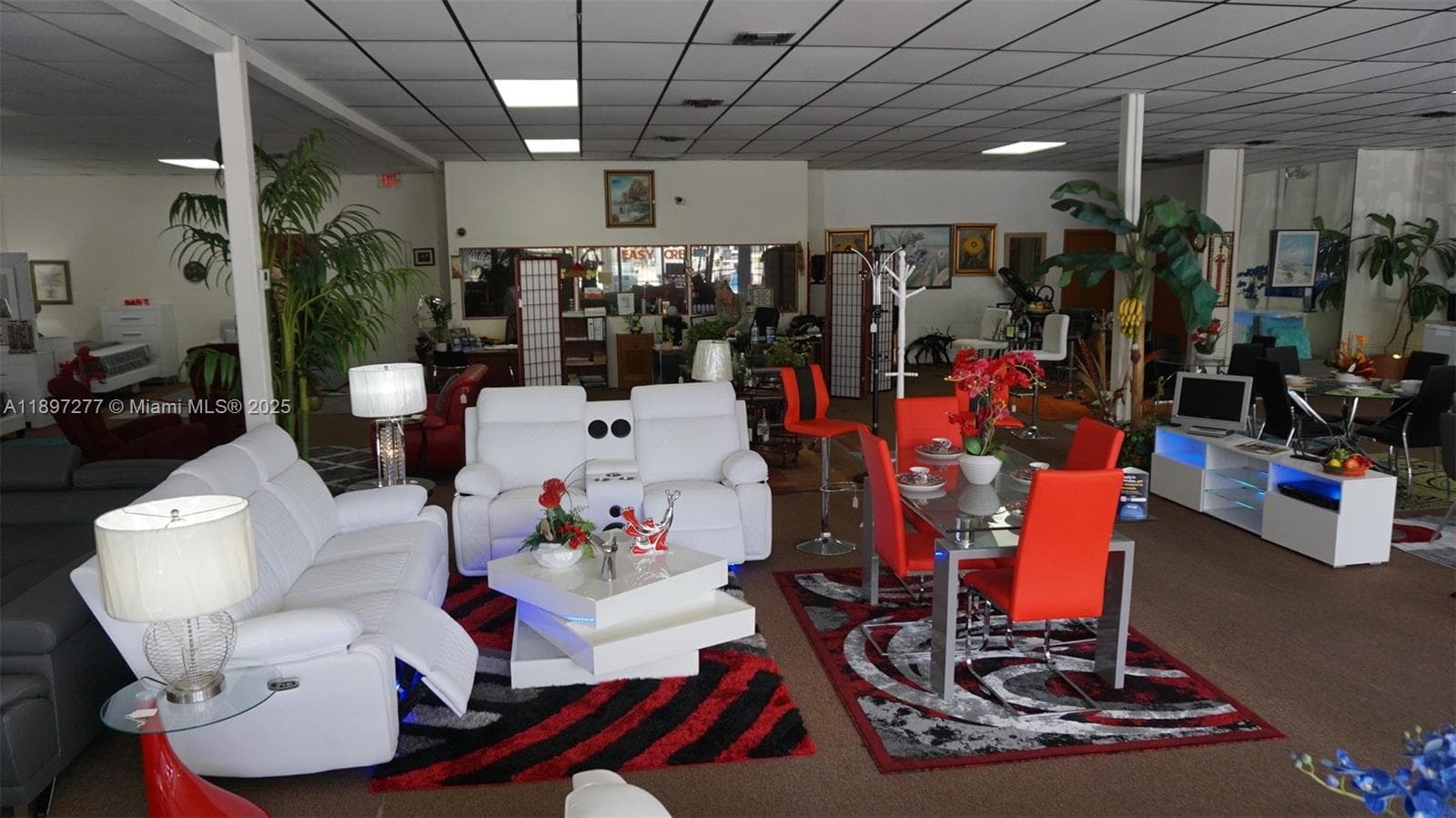 Established Furniture Store with Immediate Cash Flow