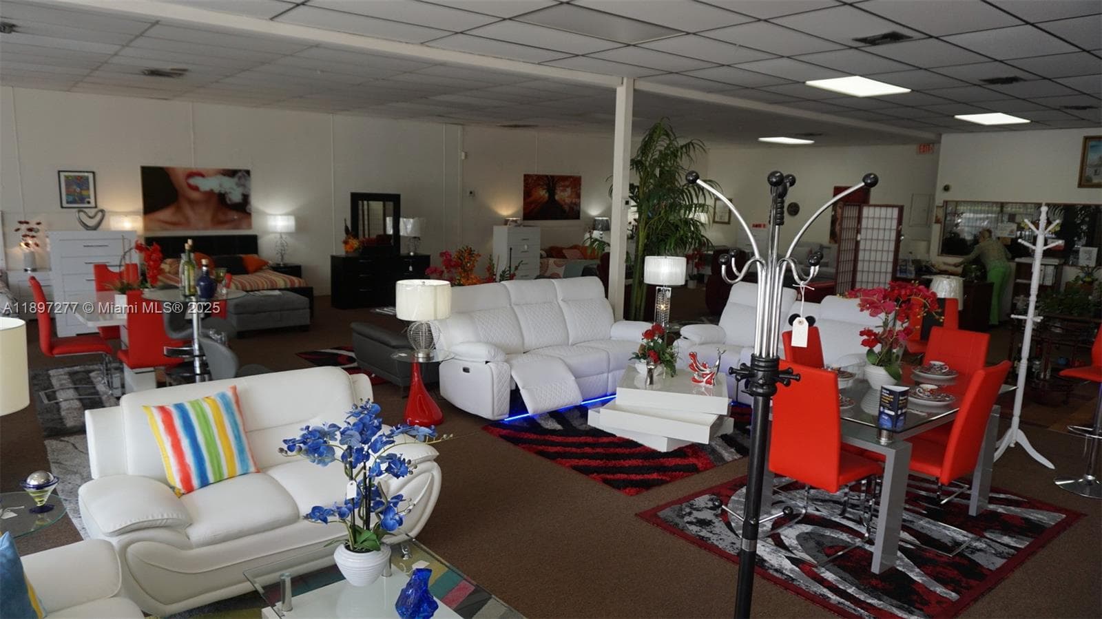 Established Furniture Store with Immediate Cash Flow