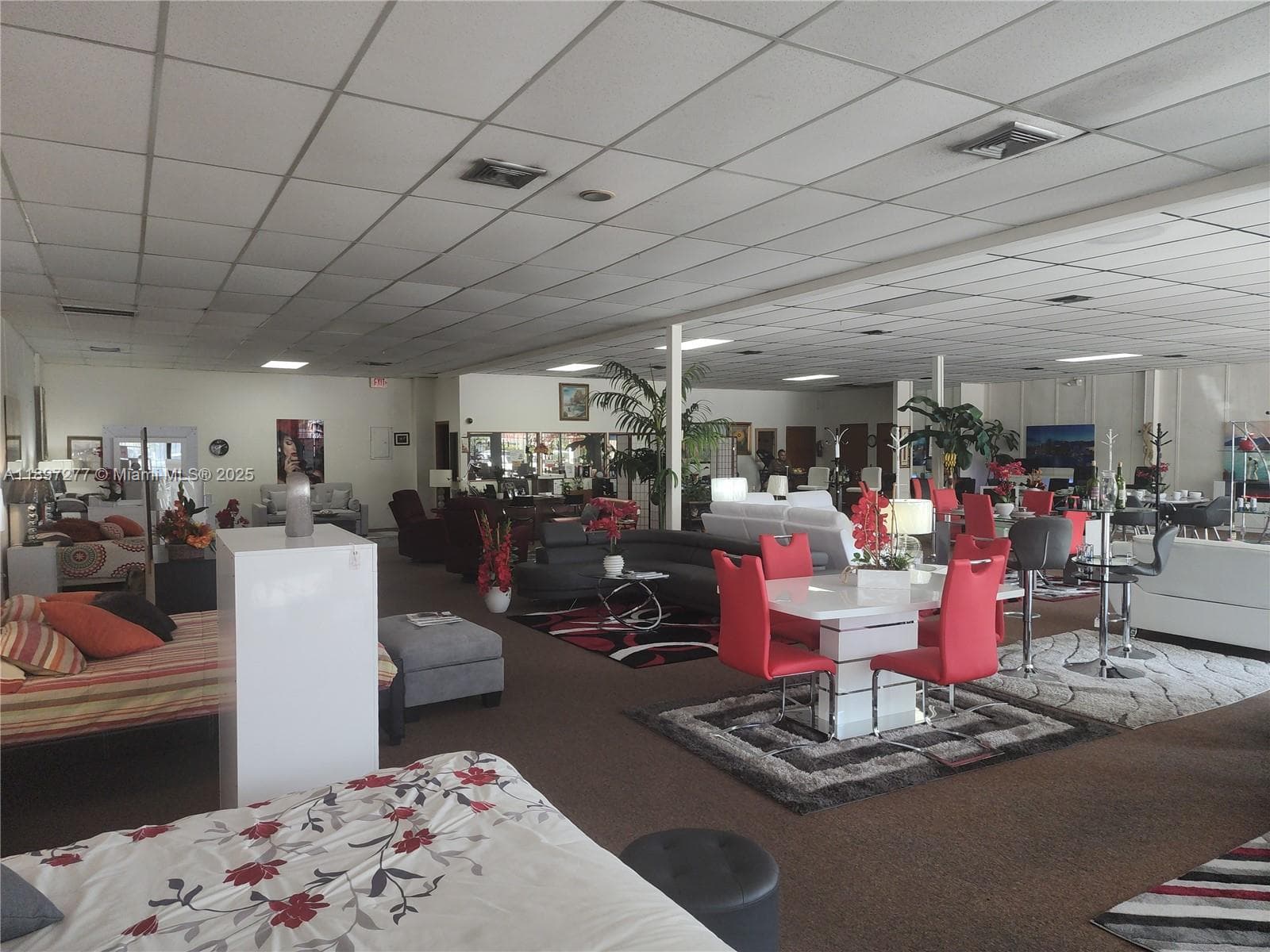 Established Furniture Store with Immediate Cash Flow